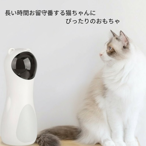 Laser neko toy レーザーネコ トイ　