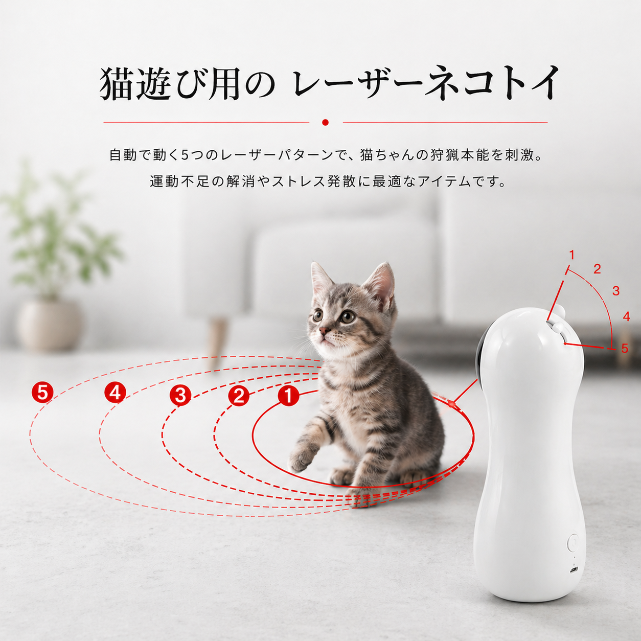 Laser neko toy レーザーネコ トイ　